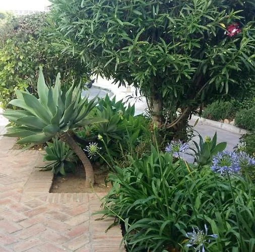 Pinar De Montemar Lägenhet