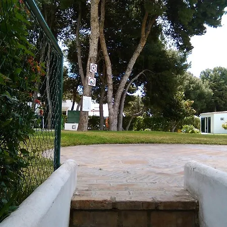 Pinar De Montemar *