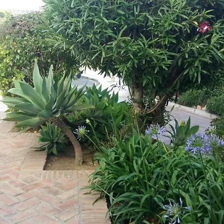 Pinar De Montemar Apartamento
